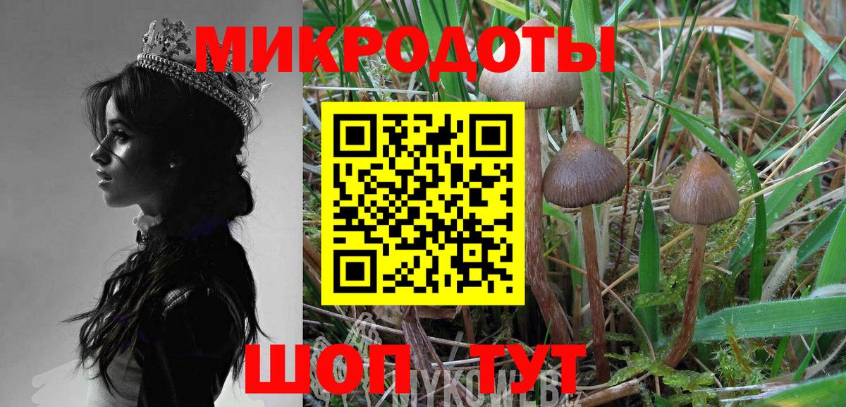 где найти   Псилоцибиновые грибы Magic Shrooms  Вход с VPN  Геленджик 